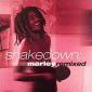 Shakedown Marley Remixed