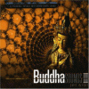 Buddha Sounds vol.3 - Chill In Tibet
