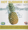 Hot Summer 101 - Disco Party