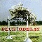 Odelay (Australia)