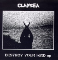 Destroy Your Mind