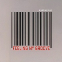 Feeling My Groove (WEB)