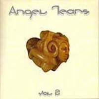 Angel Tears vol. 2
