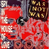 A Spy in the House of Love